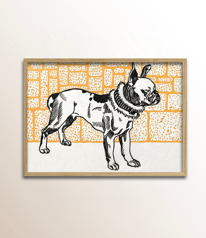 Bulldog in Brick