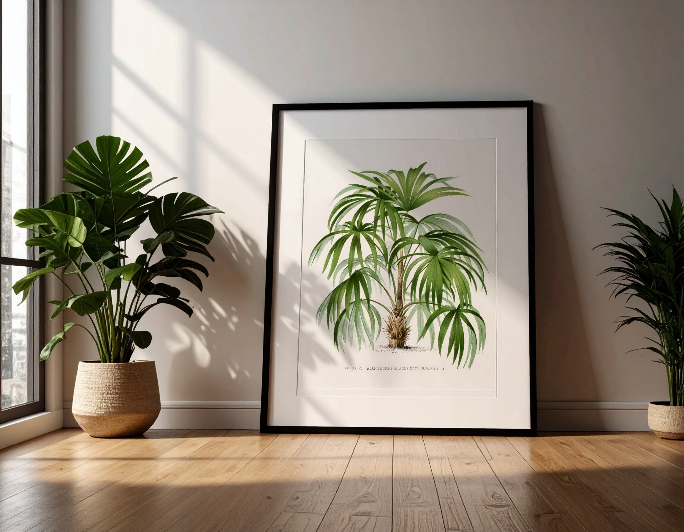 Curated art collection